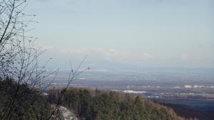 IMG_20251230_095517_ (13).JPG